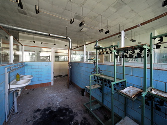 Fleisch- und Fischvorbereitung