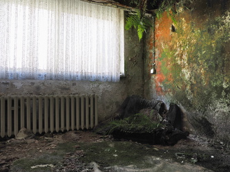 Feucht-Biotop mit Sessel und Farn