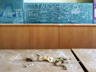 Hörsaal ... zu tode gelangweilt ;-)